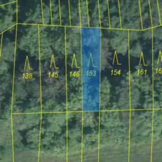 Prodej lesa 1297 m² Hřivínův Újezd