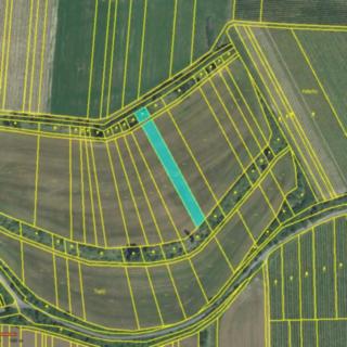 Prodej zemědělské půdy 917 m² Ořechov