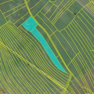 Prodej zemědělské půdy 1 142 m² Břestek