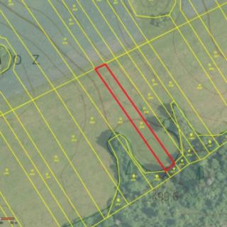 Prodej zemědělské půdy 3 556 m² Ostrov u Macochy