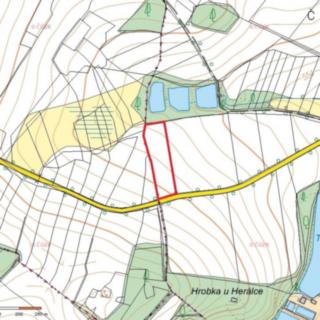 Prodej zemědělské půdy 1 318 m² Herálec
