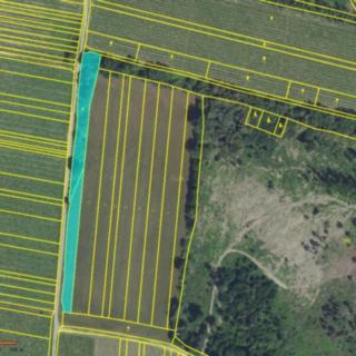 Prodej zemědělské půdy 6009 m² Ořechov