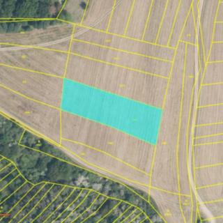 Prodej zemědělské půdy 2 507 m² Kudlovice