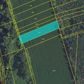 Prodej zemědělské půdy 1 723 m² Podivín