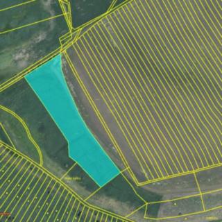 Prodej zemědělské půdy 11 646 m² Krumvíř