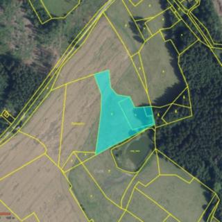 Prodej louky 2 938 m² Rušinov