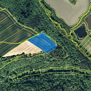 Prodej zemědělské půdy 7 251 m² Bítov