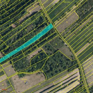 Prodej zemědělské půdy 3259 m² Velké Němčice