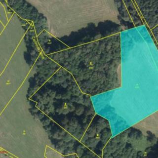 Prodej zemědělské půdy 9 868 m² Pustá Kamenice
