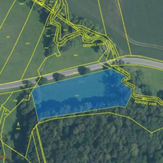 Prodej lesa 3 864 m² Horní Těšice