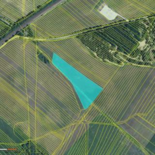 Prodej zemědělské půdy 8391 m² Břeclav
