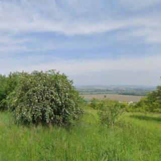 Prodej zahrady 4 210 m² Židlochovice