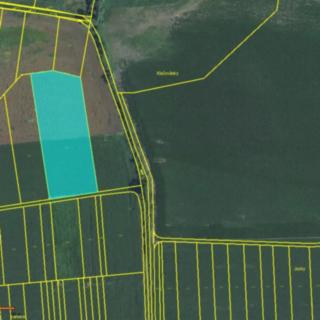Prodej zemědělské půdy 1 867 m² Milotice