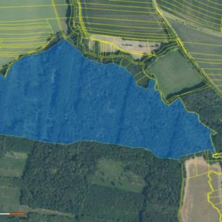Prodej lesa 2 770 m² Skalička