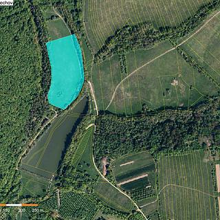 Prodej louky 21368 m² Velký Ořechov