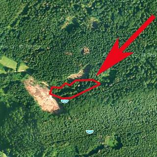 Prodej lesa 6 506 m² Růžďka