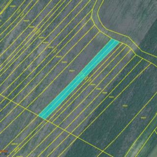 Prodej zemědělské půdy 952 m² Moravská Nová Ves