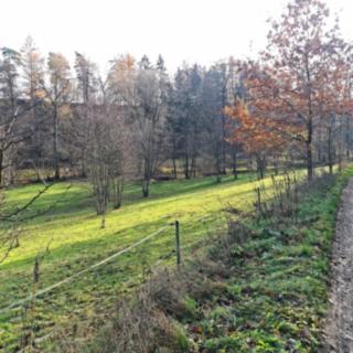 Prodej louky 7 357 m² Vilémov Klášter