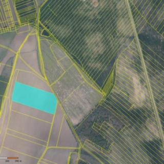 Prodej zemědělské půdy 4 688 m² Medlice