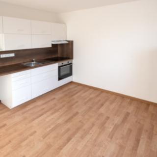 Pronájem bytu 1+1 40 m² České Budějovice 6, Křižíkova