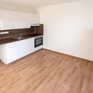 Pronájem bytu 1+1 40 m² České Budějovice