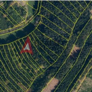 Prodej lesa 111477 m² Moraveč