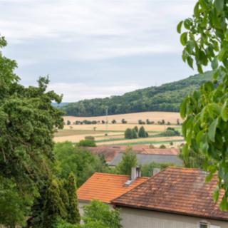 Prodej stavební parcely 1643 m² Měňany