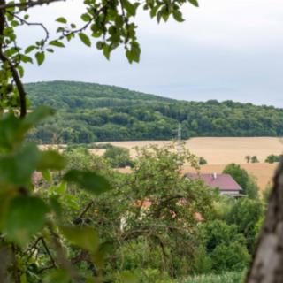 Prodej stavební parcely 1 643 m² Měňany