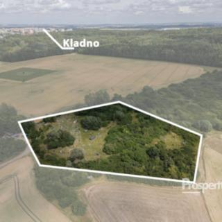 Prodej komerčního pozemku 15 944 m² Velká Dobrá