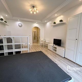 Pronájem bytu 1+kk a garsoniéry 25 m² Praha, V předpolí
