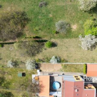 Prodej stavební parcely 650 m² Ořechov