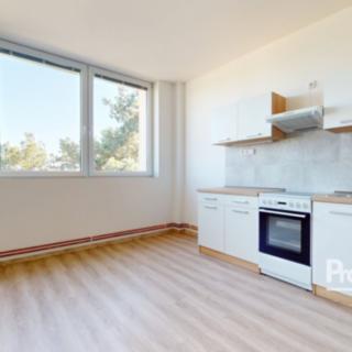 Pronájem bytu 1+kk a garsoniéry 35 m² Mlékojedy