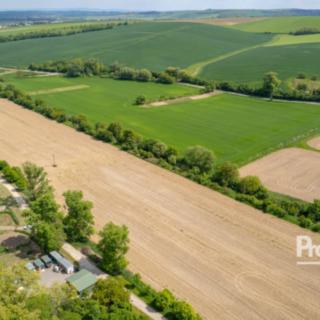 Prodej zemědělské půdy 2110 m² Morkůvky