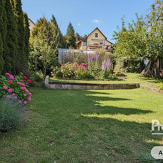 Prodej zahrady 651 m² Žitenice