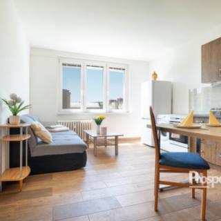 Prodej bytu 1+1 35 m² Horní Slavkov