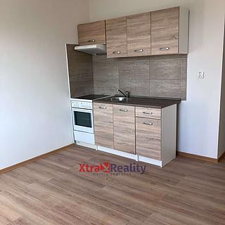 Prodej bytu 1+1 35 m² Bílina Teplické Předměstí, Sídliště Za Chlumem