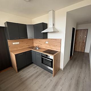Pronájem bytu 3+1 69 m² Most, Brněnská