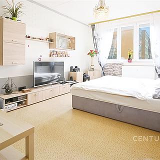 Prodej bytu 1+1 40 m² Žatec, Lípová