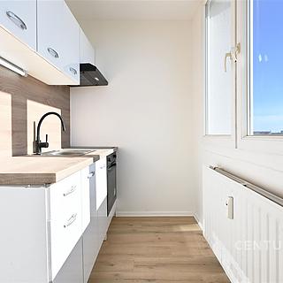 Pronájem bytu 1+1 26 m² Most, Růžová