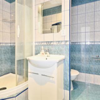 Pronájem bytu 1+1 35 m² Litvínov, Tylova