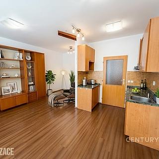 Pronájem bytu 1+kk a garsoniéry 29 m² Praha Libeň, Kurta Konráda