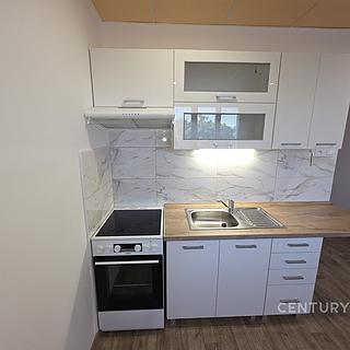 Pronájem bytu 1+1 35 m² Chomutov, Kamenná