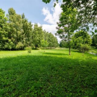 Prodej ostatního pozemku 1 898 m² Bělá nad Radbuzou