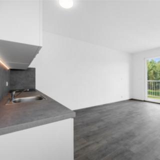 Pronájem bytu 2+kk 60 m² Dobřany, Loudů