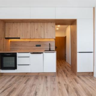 Prodej bytu 2+kk 36 m² Litvínov Horní, U Zámeckého parku