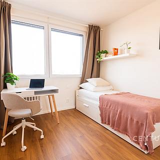 Pronájem pokoje 10 m² Praha Žižkov, Roháčova