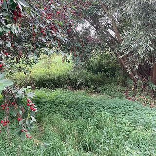 Prodej ostatního pozemku 438 m² Staňkovice