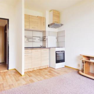 Pronájem bytu 1+1 41 m² Teplice