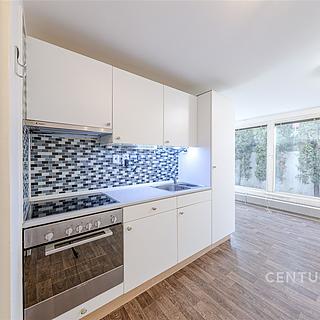 Pronájem bytu 1+kk a garsoniéry 29 m² Šternberk, Labutí