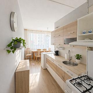 Prodej bytu 1+1 45 m² Olomouc Nová Ulice, Pionýrská